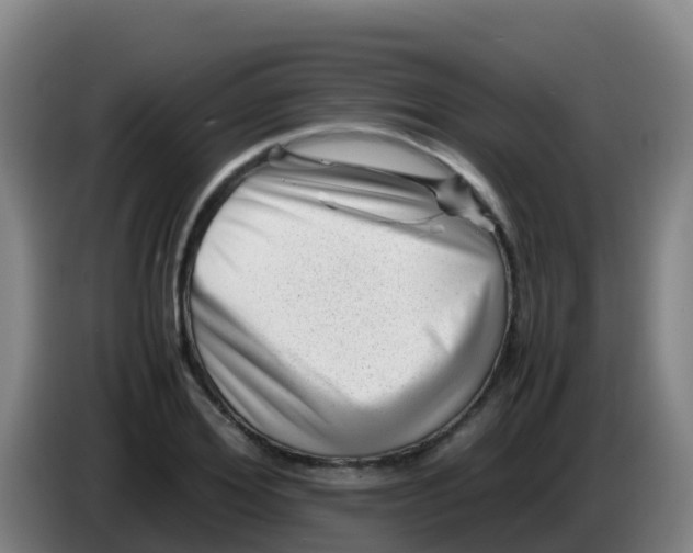 X0000086290980200704201919
