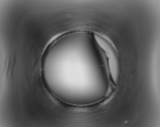 X0000086290981200704201919