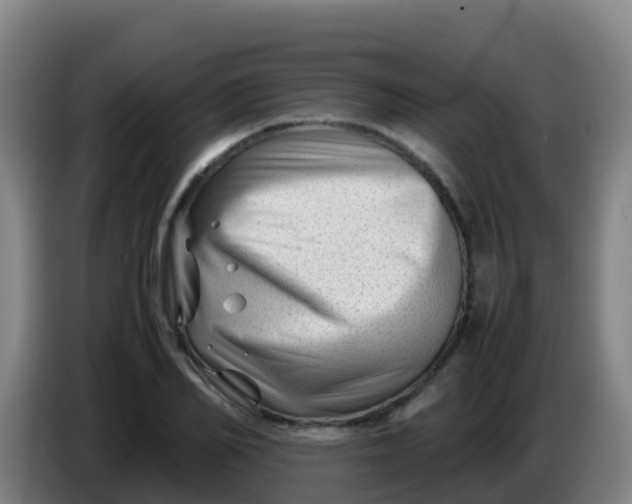 X0000086290982200704201919