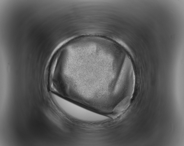 X0000086290983200704201919