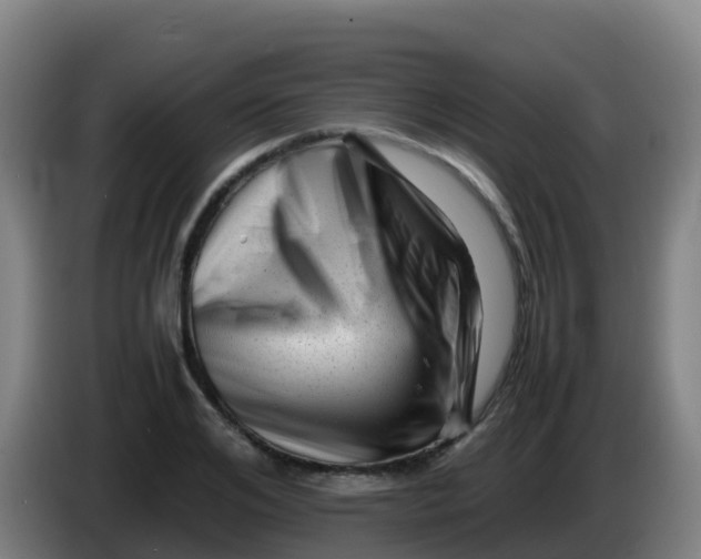 X0000086290984200704201919