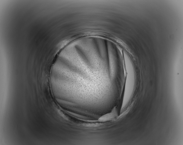X0000086290985200704201919