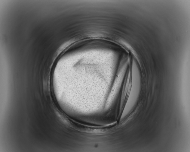 X0000086290986200704201919
