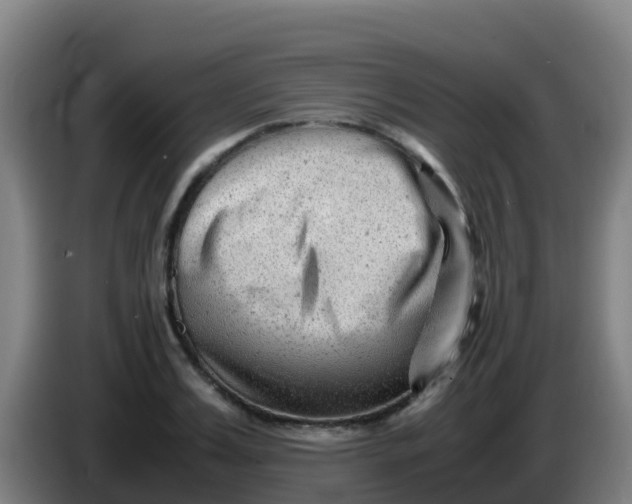 X0000086290987200704201919
