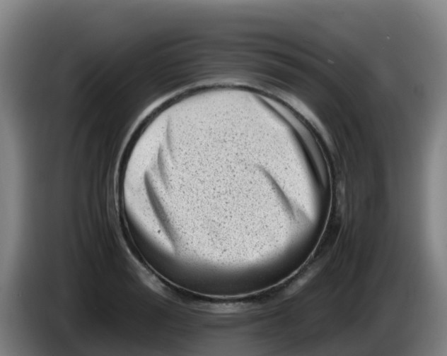 X0000086290988200704201919