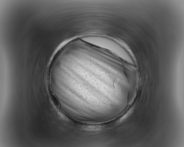 X0000086290989200704201919