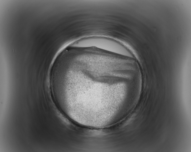 X0000086290990200704201919