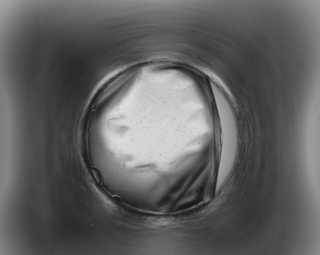 X0000086290991200704201919