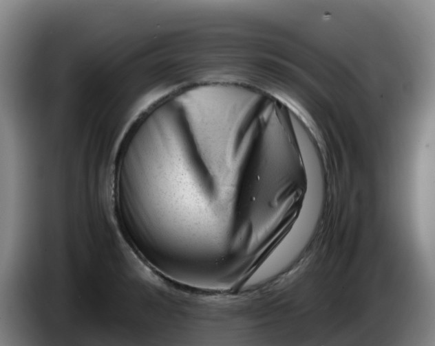 X0000086290992200704201919