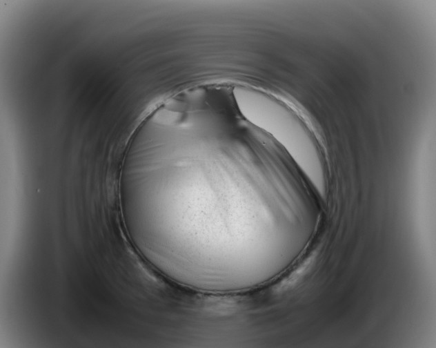 X0000086290993200704201919