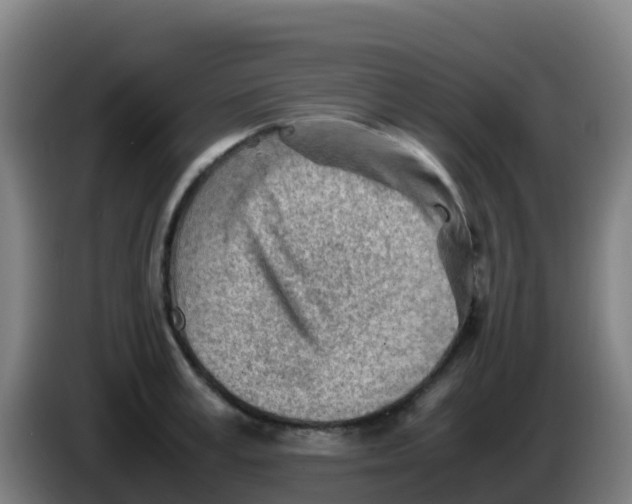 X0000086290995200704201919