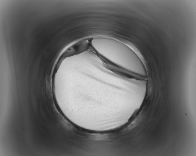 X0000086290996200704201919