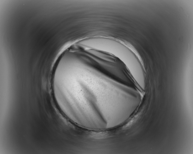 X0000086290997200704201919