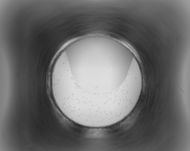 X0000086291000200704201919