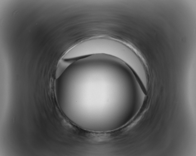 X0000086291001200704201919