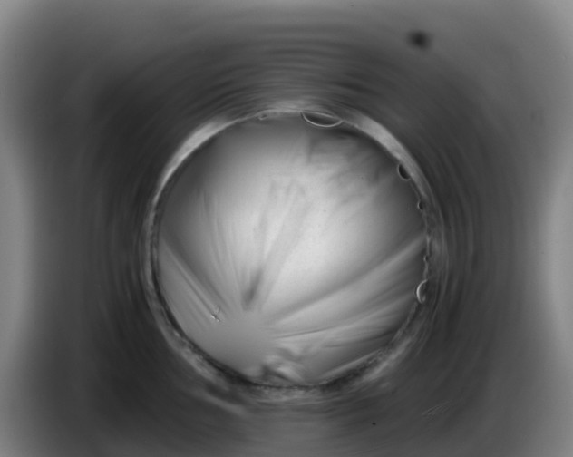X0000086291002200704201919