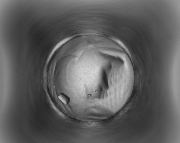 X0000086291003200704201919