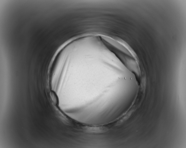 X0000086291004200704201919