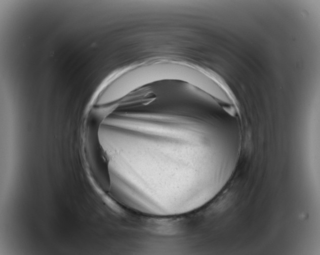 X0000086291005200704201919