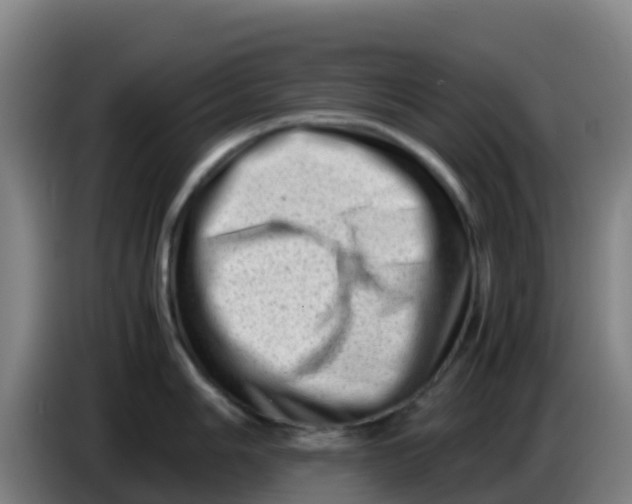 X0000086291006200704201919