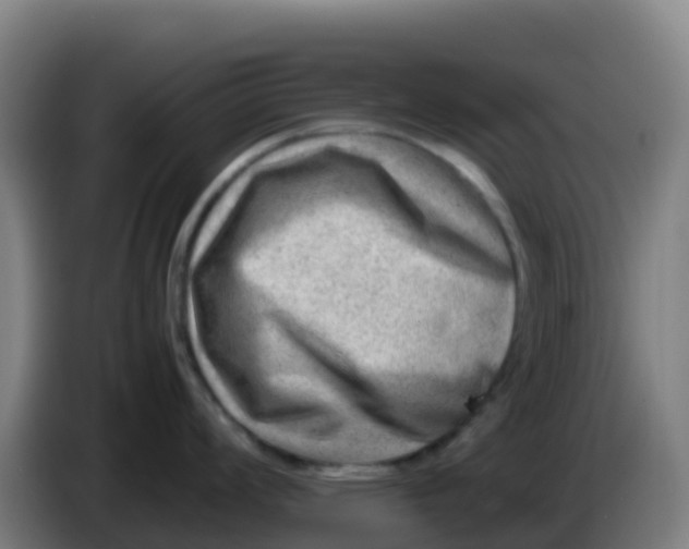 X0000086291008200704201919