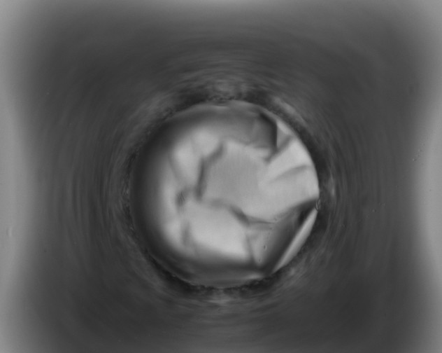 X0000086291009200704201919