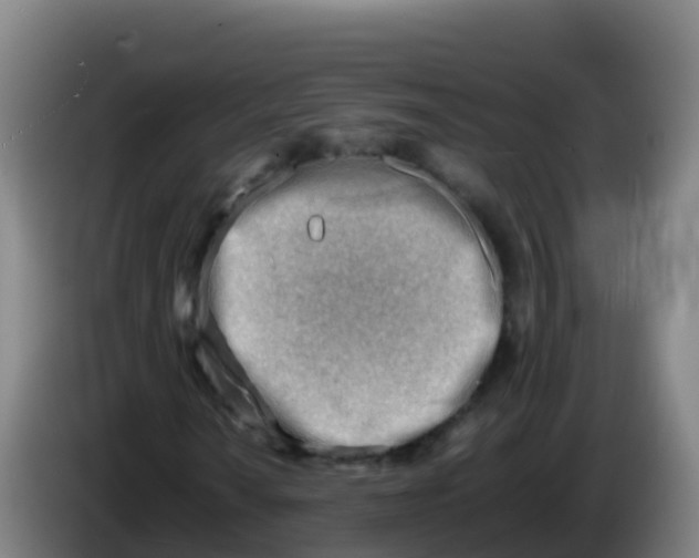 X0000086291010200704201919