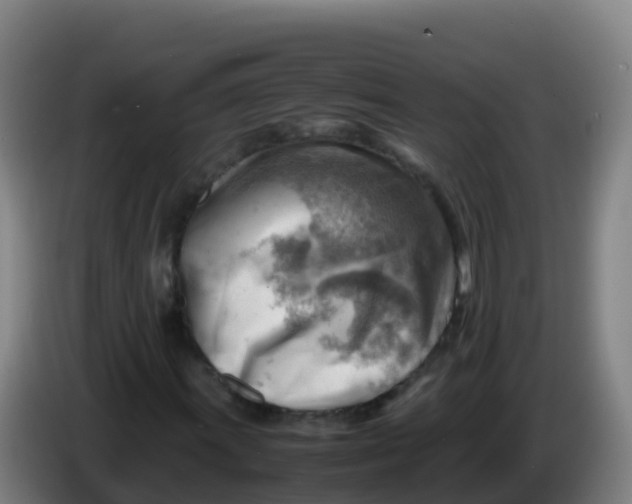 X0000086291011200704201919