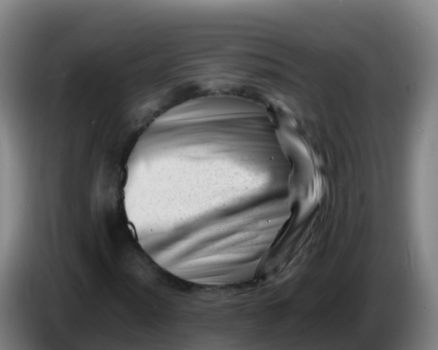 X0000086291012200704201919