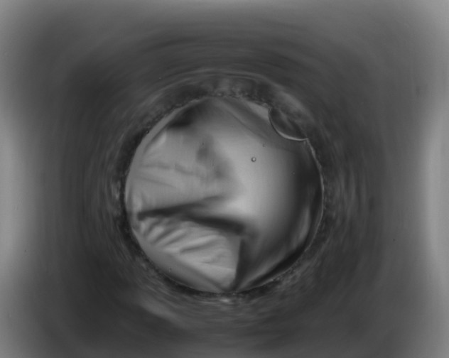 X0000086291013200704201919