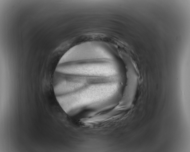 X0000086291014200704201919