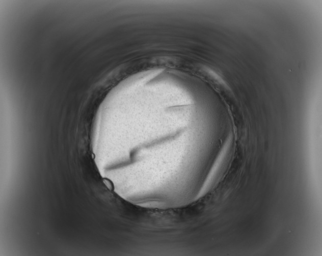 X0000086291015200704201919