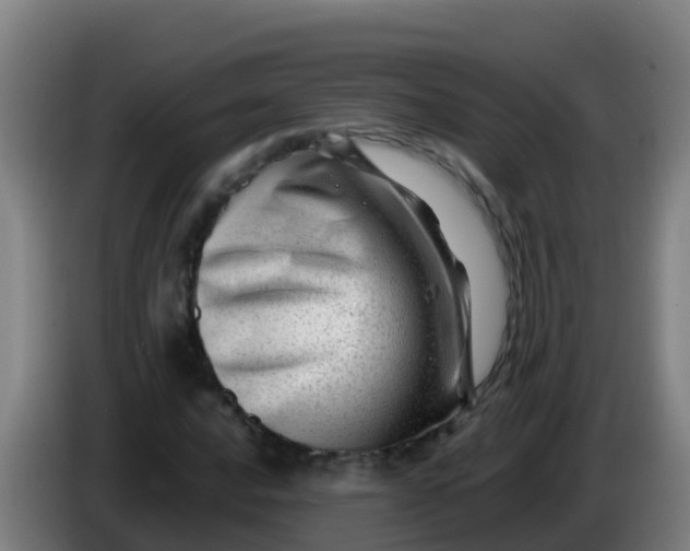 X0000086291016200704201919