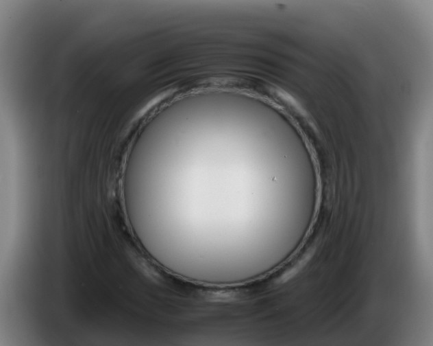 X0000086291017200704201919
