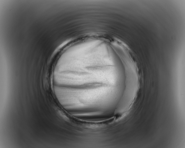 X0000086291018200704201919