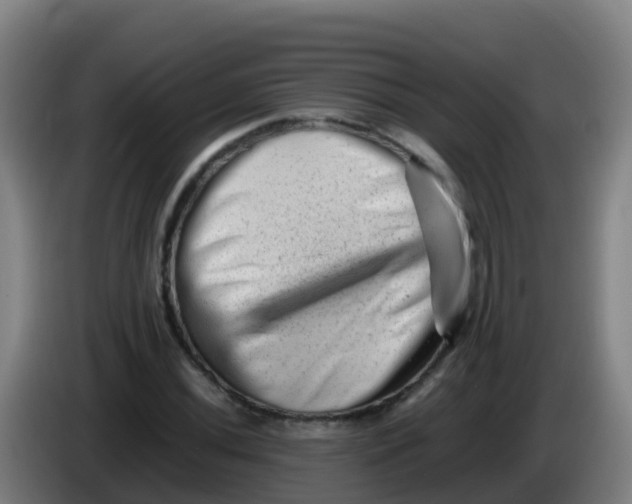 X0000086291020200704201919