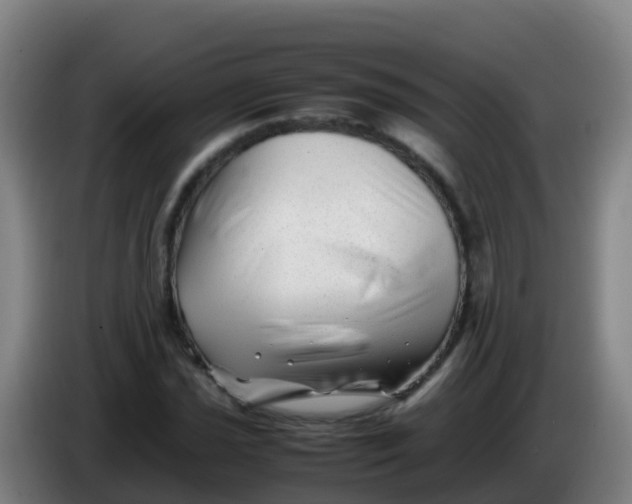 X0000086291021200704201919