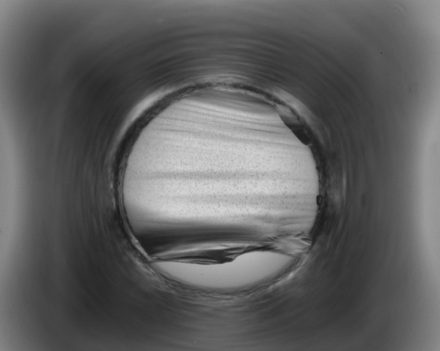 X0000086291022200704201919