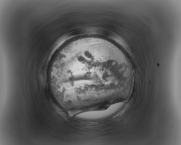 X0000086291023200704201919