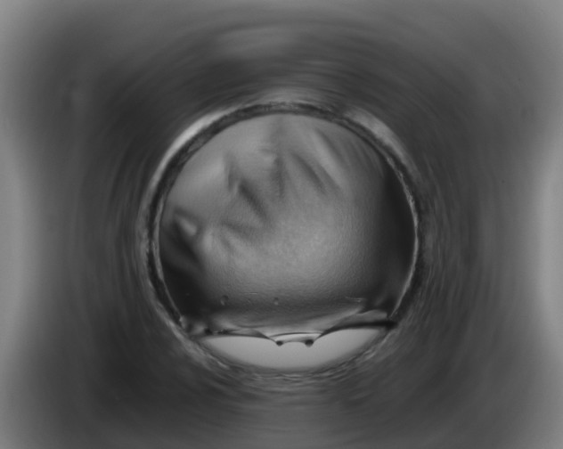 X0000086291024200704201919