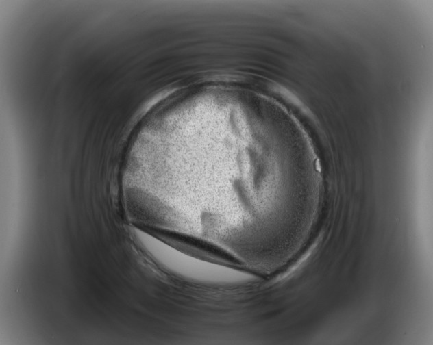 X0000086291025200704201919