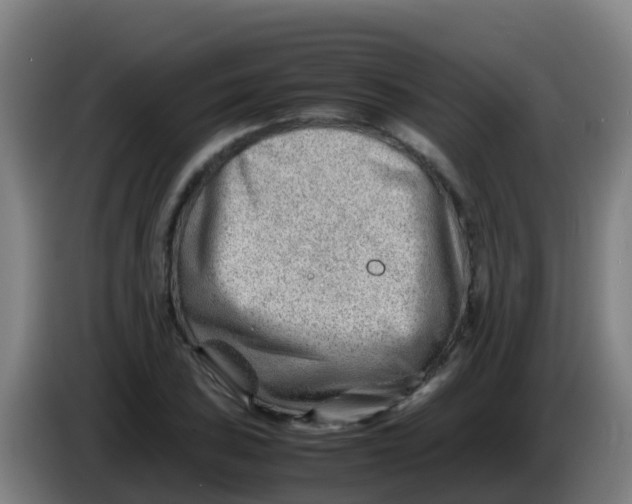 X0000086291027200704201919