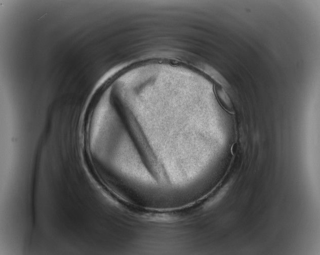 X0000086291028200704201919
