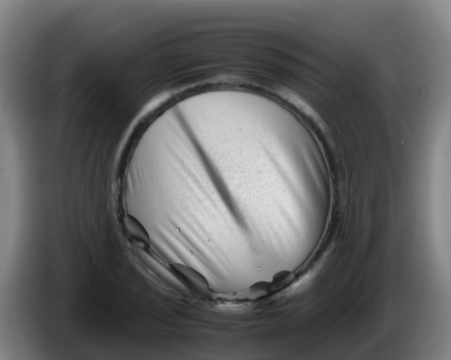 X0000086291029200704201919