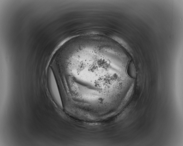 X0000086291031200704201919