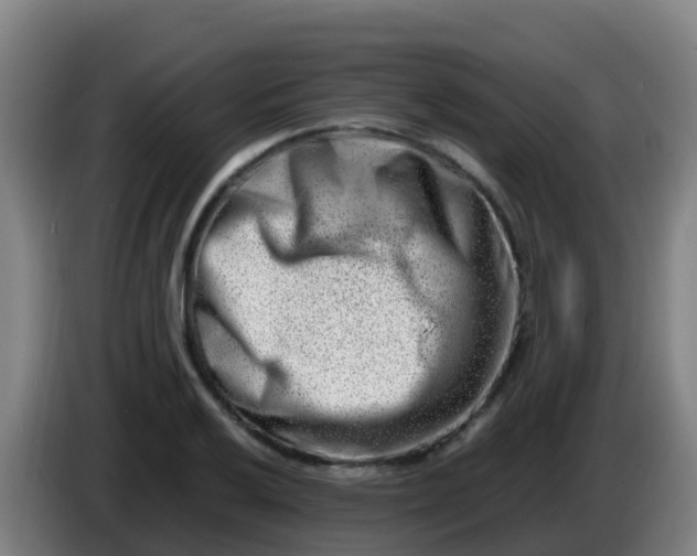 X0000086291032200704201919