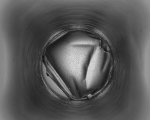 X0000086291033200704201919