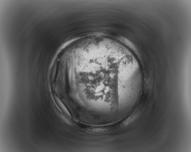 X0000086291035200704201919