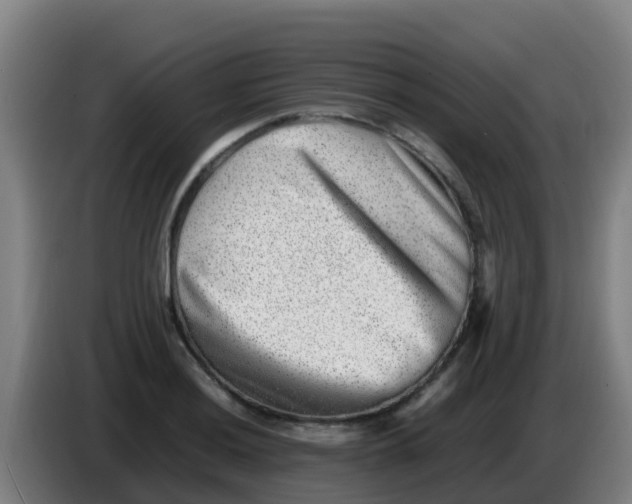 X0000086291036200704201919