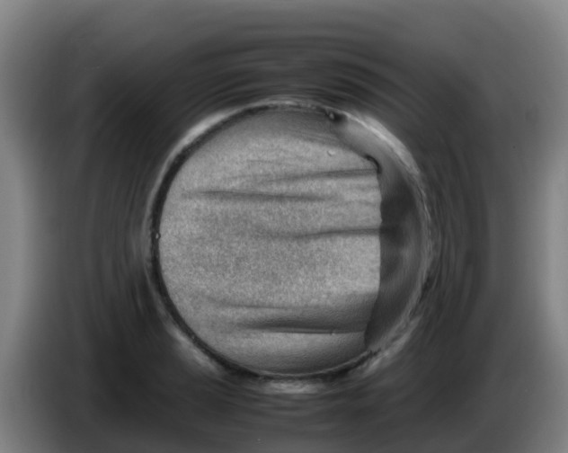 X0000086291037200704201919